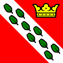 [Flag of Herzogenbuchsee]