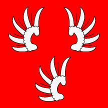 [Flag of Schüpfheim]