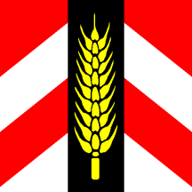[Flag of Winistorf]