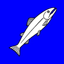 [Flag of Rheinau]