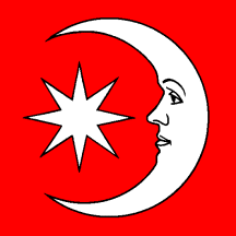 [Flag of Niederweningen]