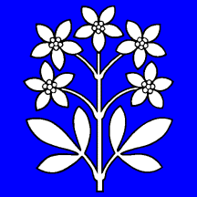 [Flag of Schleinikon]