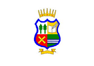 [Previous flag of Maule Region]