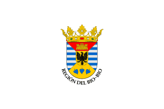 [Biobío Region flag]