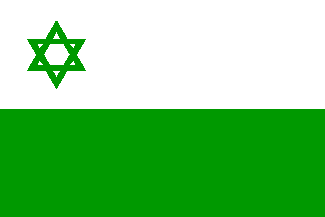 [Far Eastern Jewish Conference flag as printed]