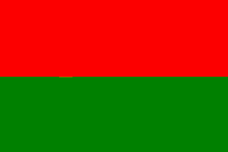 Flag of NARINO
