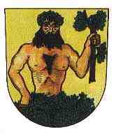 [Mesto Albrechtice Coat of Arms]