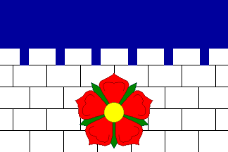 [Borovany flag]