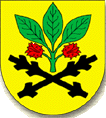 [Velká Bukovina coat of arms]