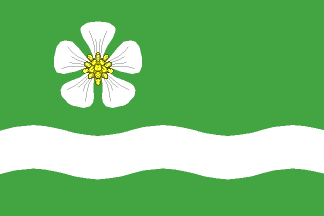 [Visnová municipality flag]