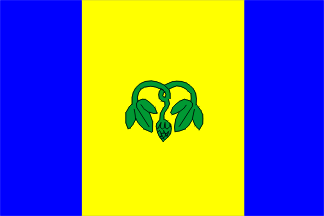 [Vojkovice municipality flag]