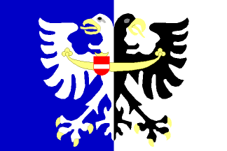 [Polkovice municipality flag]