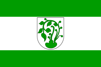 [Erbes-Büdesheim municipal flag]