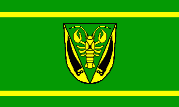 [Wiesenau municipal flag]