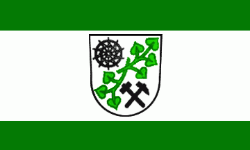 [Plessa municipal flag]