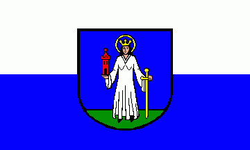 [Forst (Baden) municipal flag]