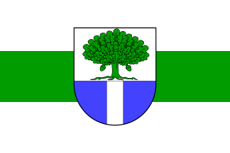 [Börsborn municipal flag]