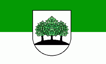[Helbra municipal flag w/ CoA]