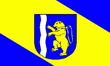 [Carlow municipal flag]