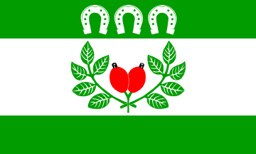 [Haby municipal flag]