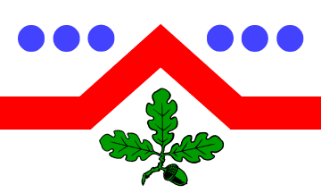 [Kisdorf municipal flag]