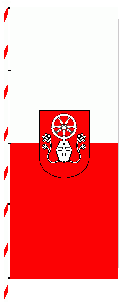 [Tauberbischofsheim flag#3]
