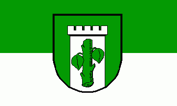 [Veltheim upon Ohe municipal flag]