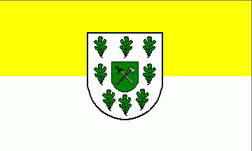 [SG Tostedt municipal flag]