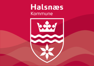 [Flag of Halsn�s]