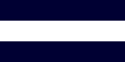 The United Space flag