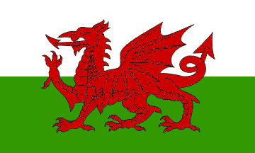 GREEN Proud to be Welsh  horse hood with red Dragon 