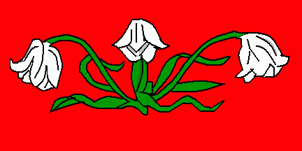 [Flag of Magdalen College Boat Club 1930]