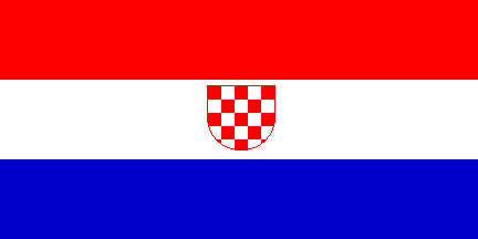 [Flag in use]