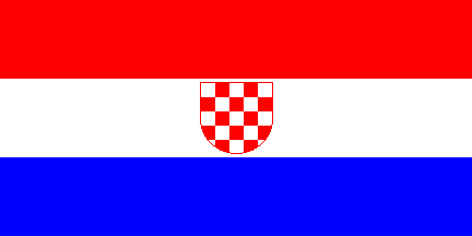 [Flag in use]