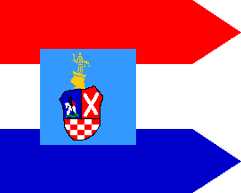 [Bjelovar County flag]