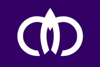 [flag of Anamizu]