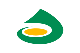 [flag of Awara]