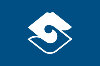 [Shizuoka city flag]