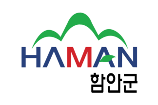 [Haman County logo flag]