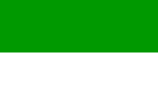 Green/white Rif flag