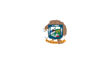 Flag of the municipality of Ensenada