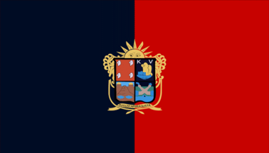 Flag of the municipality of Irapuato