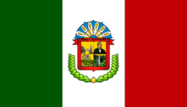 Proposal flag of the municipality of Juarez