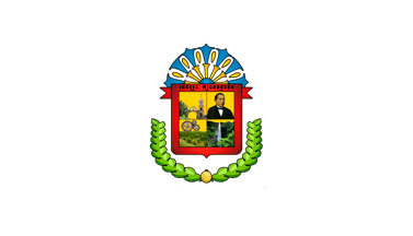 Flag of the municipality of Juarez