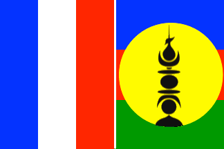 [Combined flag used by FIFA]