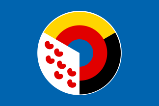 [All Frisian Flag]