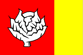 [Tersoal village flag]