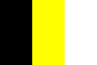 ['s-Heerenhoek flag]