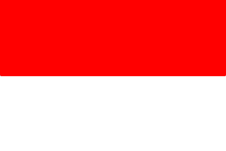 [Voorburg old flag]