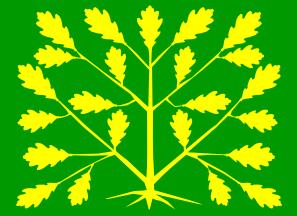 Flag of Vest-Agder